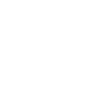 Home Version Four Network Protection