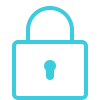 Services-02 icons8-lock