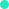 P 05